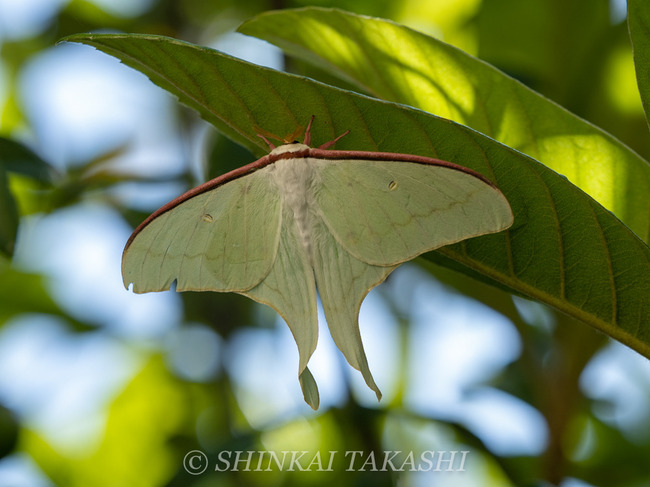 0507II~YAI-5073106.jpg