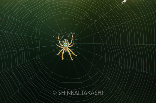 1107g゙EIjN゙-1091.jpg