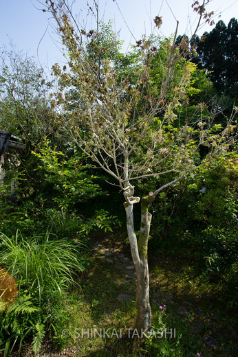 5232019-3.jpg