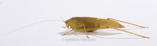 TgN^゙-0392.jpg