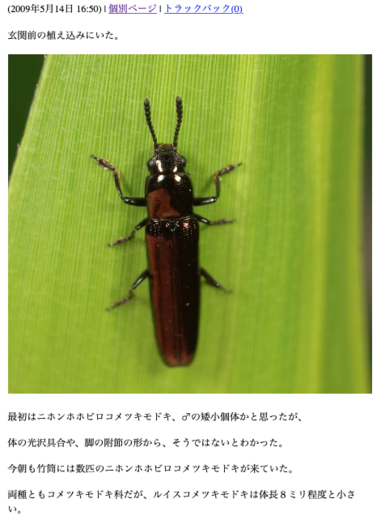 XN[Vbg 2021-05-27 19.47.16.png