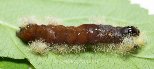 J゙sp-7694.jpg