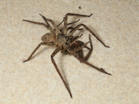 H_6464.JPG
