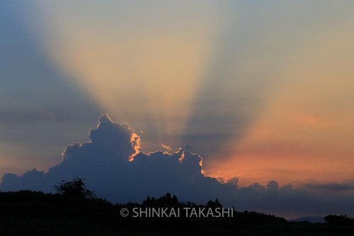 夕焼け_1353.jpg