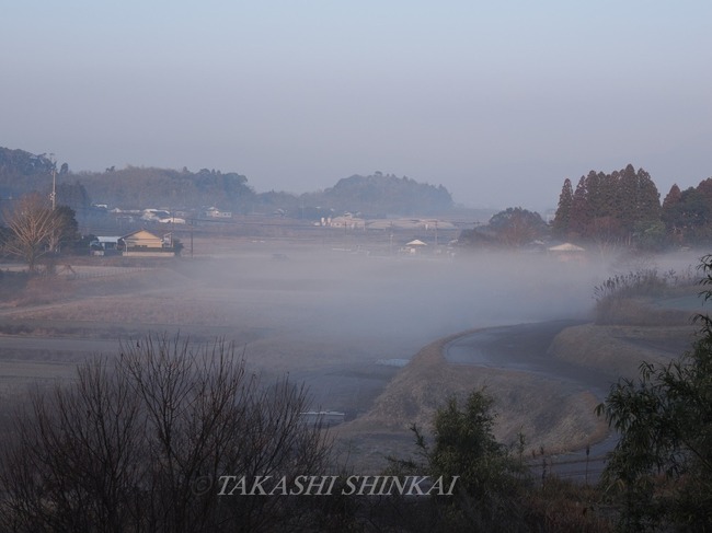 霧の朝_M1061779.jpg